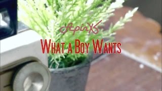 APink - What a Boy Wants