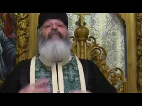 "A few words about this father" - Father Calistrat