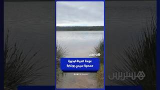 بحيرة محمية سيدي بوغابة تستعيد الحياة من جديد thumbnail