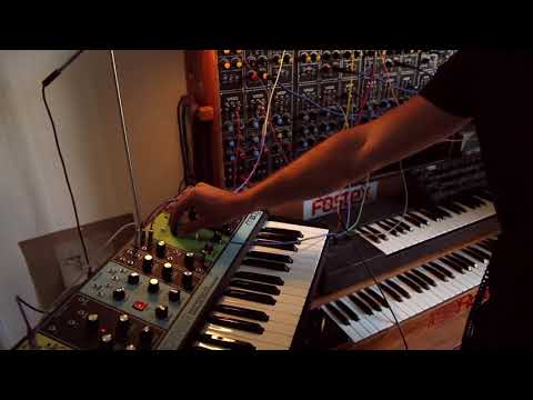 modular jam for recreational use / 5