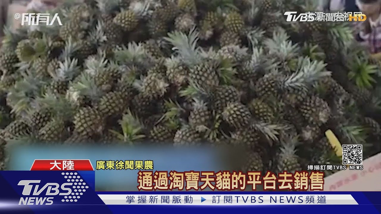 澳門也禁台灣鳳梨? 陳吉仲否認籲查證