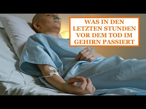 WAS IN DEN LETZTEN STUNDEN VOR DEM TOD IM GEHIRN PASSIERT