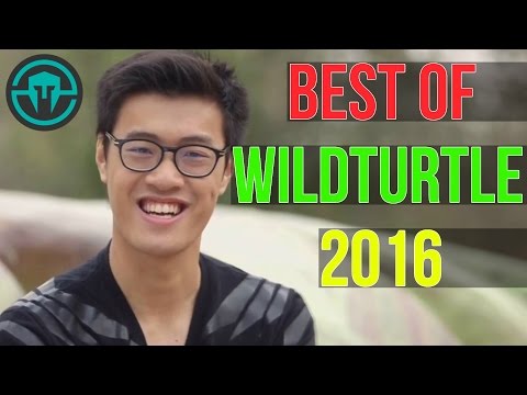 BEST OF WILDTURTLE  (NA LCS SPRING SPLIT + PLAYOFFS)