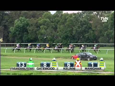 2013 Ranvet Stakes - Foreteller