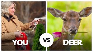 Keep Deer From Eating YOUR Plants. Tested Several Deterrents, Here’s What Worked!