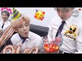 V Surprise Birthday Celebration Cutelife Shorts Hindi Dubbing
