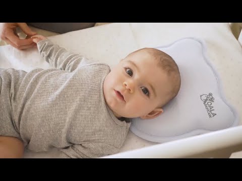 Koala Babycare Koala Perfect Head | Koala Babycare Malaysia