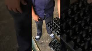 ผู้ผลิต แผงไข่พลาสติก ราคาถูก ชลบุรี