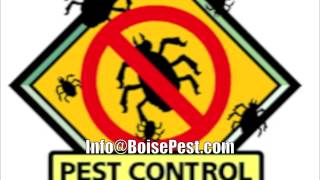 Boise Pest Control - (208) 856-0436