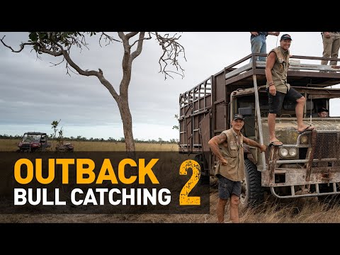 BEST. ACTION. EVER.  — Catching WILD scrub-bulls in Outback Australia [Part 2 of 2]