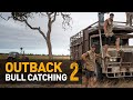 BEST ACTION EVER Catching WILD Scrub Bulls In Outback Australia Part 2 Of 2