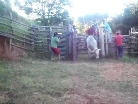 marcinho vs beija flor.MOV