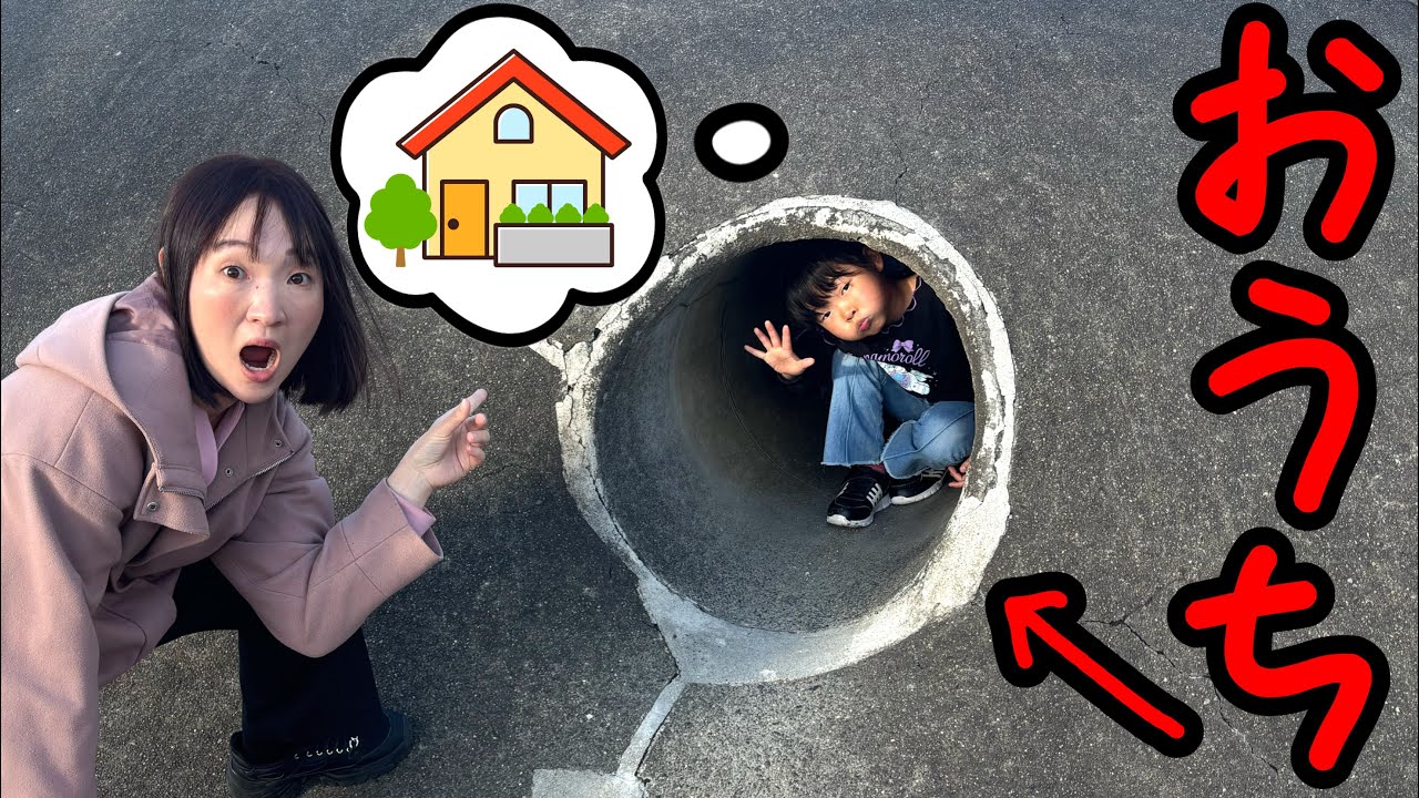 ここに住むの⁉️ここちゃんが新しいお家を作って出てこなくなりました・・・・・・・・・😱💦【寸劇】