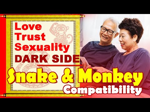 Snakes And Monkeys Compatible