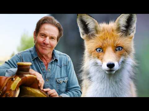 Dennis Quaid Presents: Yellowstone’s Smartest Scavengers: Wolves, Coyotes & Red Foxes