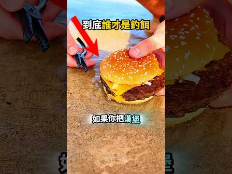 你有想過漢堡做釣餌😯不過牠才是釣餌🫠
