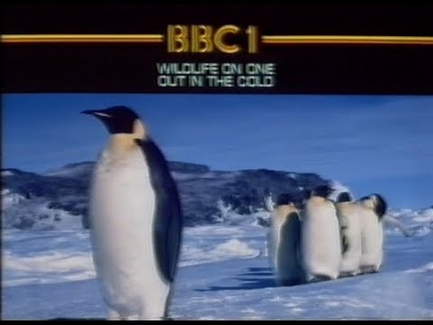Thursday 12th February 1981 BBC2 - Weather - Wildlife on One - Writers and Places