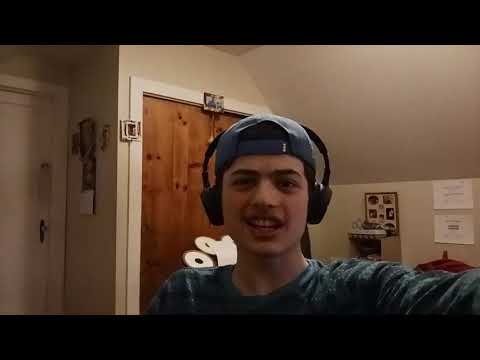 LIKE AT ARENA! Monster School: ANIMAL RACING CHALLENGE [REACTION!]