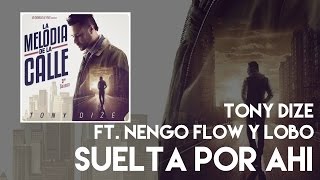 Tony Dize - Suelta Por Ahi ft. Ñengo Flow y Lobo [Official Audio]