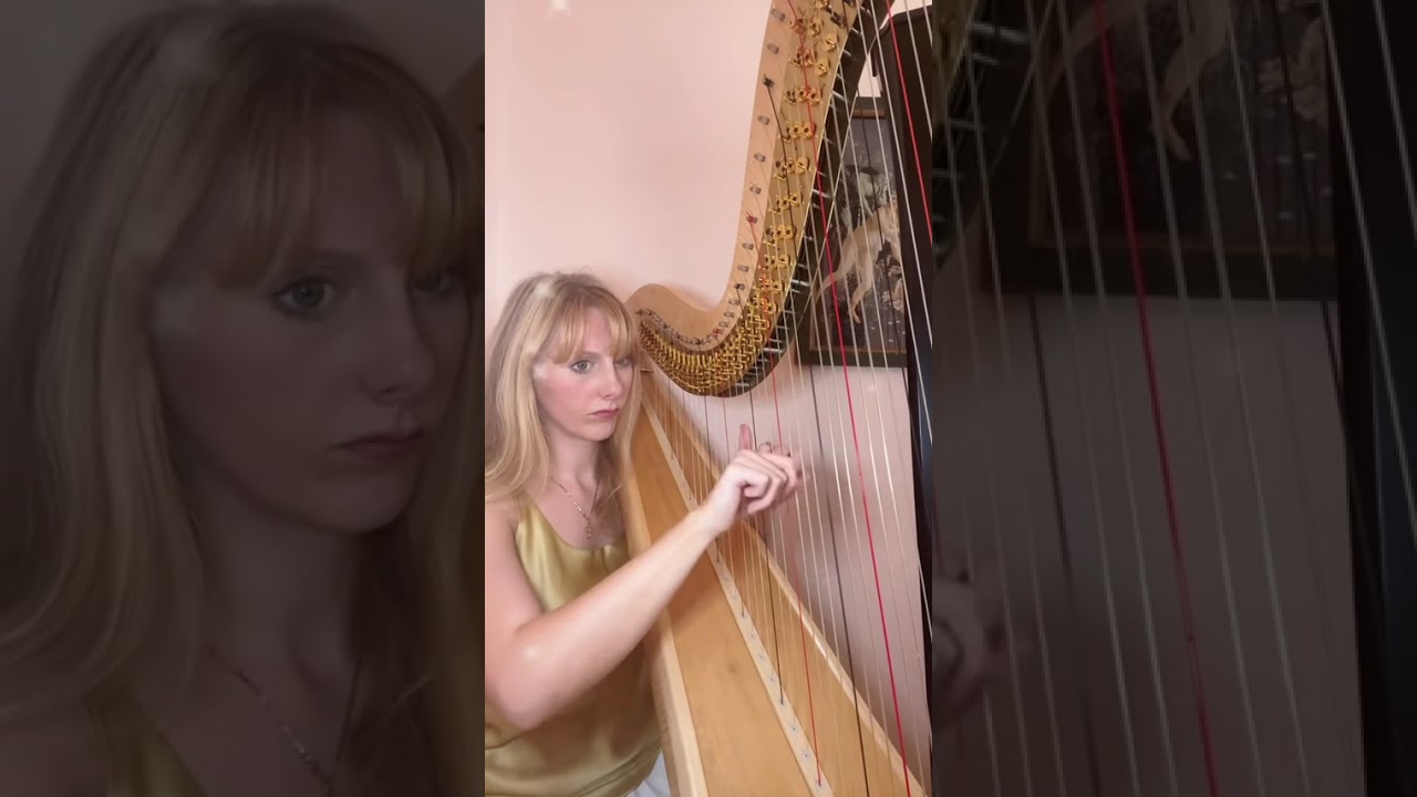 Promotional video thumbnail 3 for Chicago Harpist Anya Pasowicz