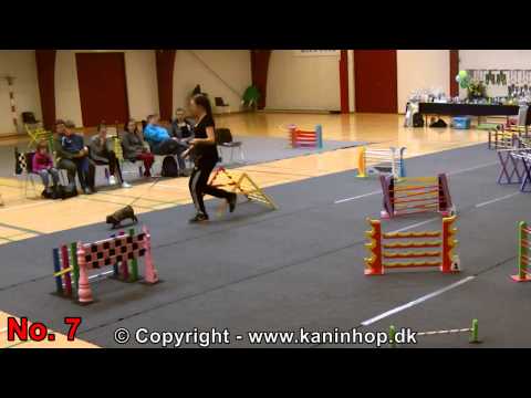 Danish Championships 2014 in Rabbit Hopping - Elite crooked - TOP 10