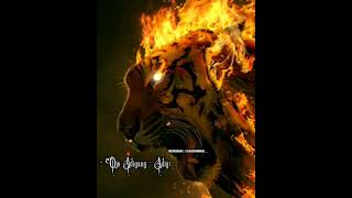 Download lagu || status WA keren HARIMAU Berapi Kekinian (Macan) mp3 Download lagu || status WA keren HARIMAU Berapi Kekinian (Macan) mp3