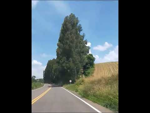 Interior de Carlos Barbosa #riograndedosul #serragaucha #carlosbarbosa