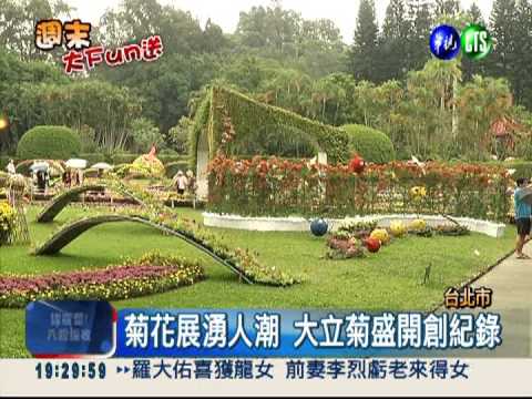 士林官邸菊花展 大立菊"開"出紀錄