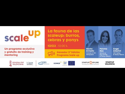 Webinar: La fauna de las scaleups: burros, cebras y ponys[;;;][;;;]