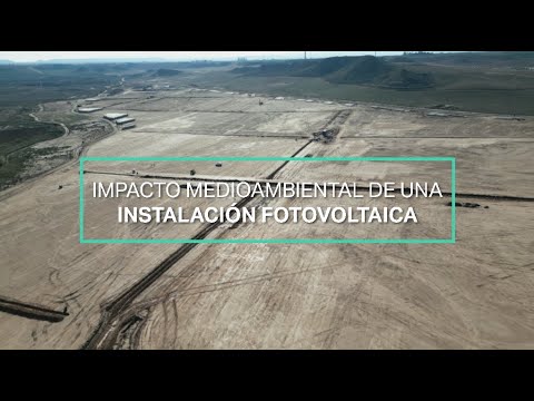 Ríos Renovables | Impacto de una instalación fotovoltaica en el medio ambiente 🌿🌍