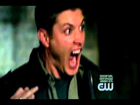 Scaredy dean afraid of cat