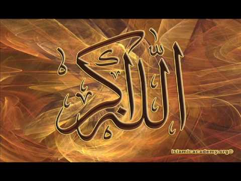 Pacov Ake But Bera Dova Kerava 2010