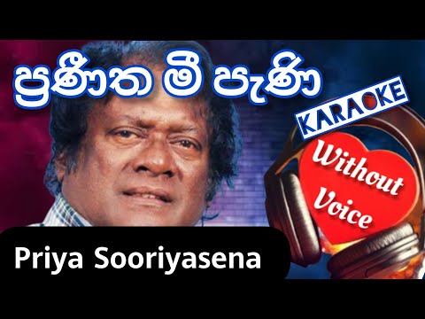 Praneetha mee peni | Karaoke | Without Voice
