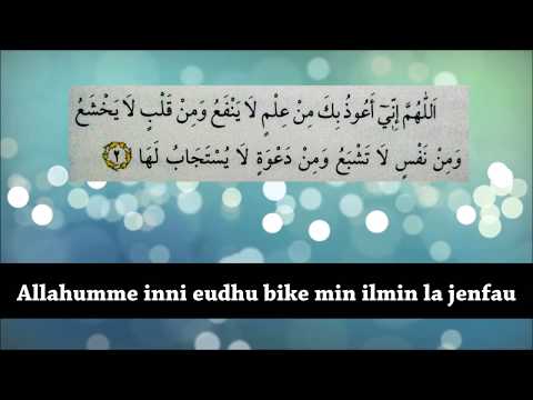 Horizonti i Lutjes - 3