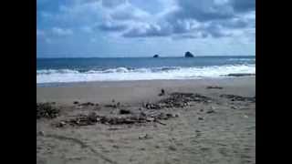 preview picture of video 'Pantai Jelangkung(Jolangkung) by Suetoclub'