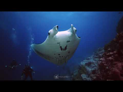 Marquesas - The Land Of Men -