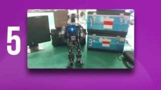 Top 5 ROBOT Gangnam Style