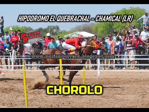 CHOROLO, Hip  El Quebrachal - Chamical (29-09-19)