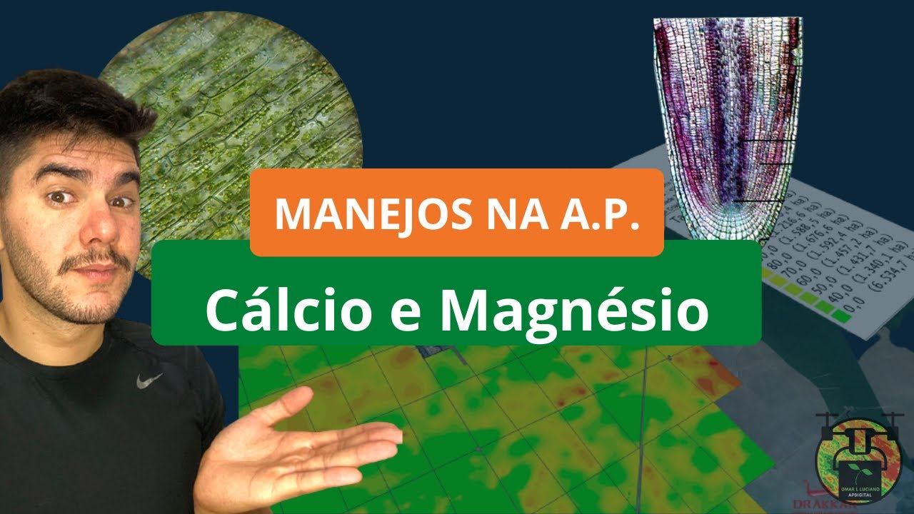 CORREÇÃO E ADUBAÇÃO NA AP   Manejo do Ca e Mg
