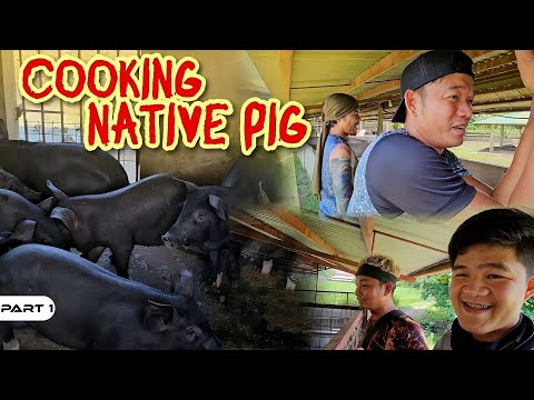 P1-COOKING NATIVE PIG - EP1103