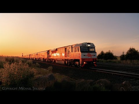 Six Diesel Locomotives Leading SCT 6PM9 Freight Train (17/10/2022) - PoathTV Australian Railways