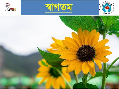 PHIL 202,HON'S 2ND Y,TOPIC  IBN Bajjah, MUSLIM PHILOSOPHY, NADIA TUJ JOHURA,LECTURER, DHAKA COLLEGE