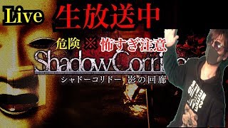[ホラー]恐すぎ注意！！［シャドーコリドー影の回廊］[よしはるチャンネル]