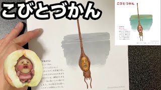 ブタクサビシン ぬりえ こびとづかん موقع ويب حيث يمكنك مشاهدة مقاطع فيديو موسيقية مجانية