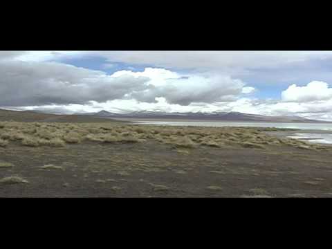 Bolivian Altiplano