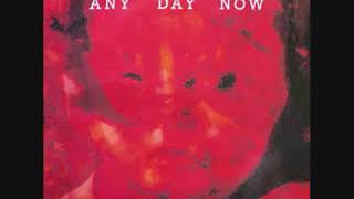 Legendary Pink Dots ‎– Any Day Now ~ full album