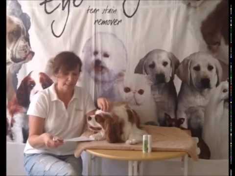 How to Use: On The Nose Therapy Balm - Dogs and Cats