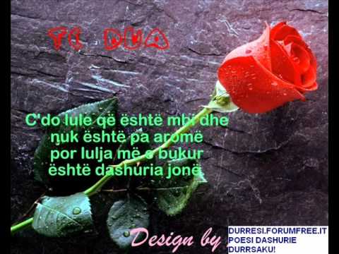 ardian sylaj  ah pa ty nvetmi