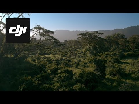 DJI Stories - アフリカのエデンの園を捉える (DJI Stories - Capturing Africa’s Garden of Eden)