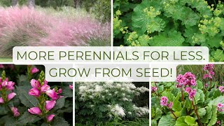 You Should Grow Perennials from Seed, Here